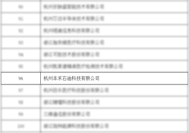 神开丰禾公司荣获国家级专精特新“小巨人”企业(图2) 神开丰禾公司荣获国家级专精特新“小巨人”企业(图2)